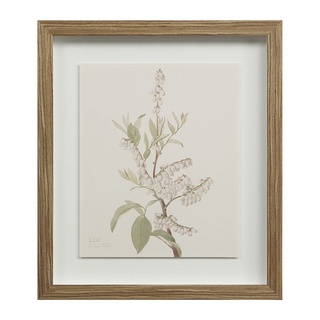 Crema Wall Art (Set of 9) - Light House Co.
