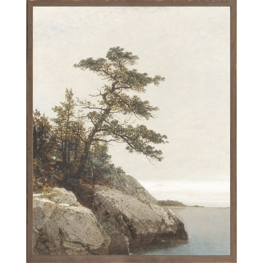 Northern Collection – The Old Pine C. 1872 - Light House Co.