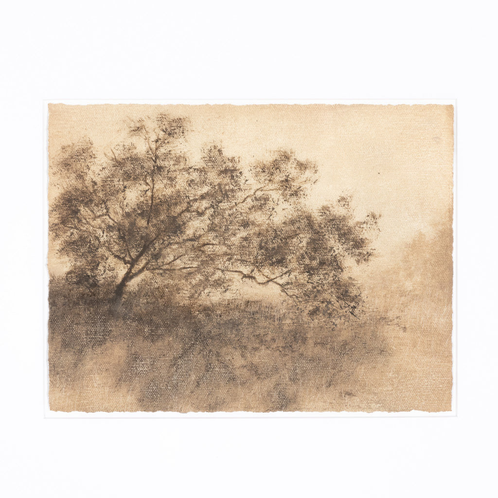 Hillside Haze X by Aileen Fitzgerald - Light House Co.