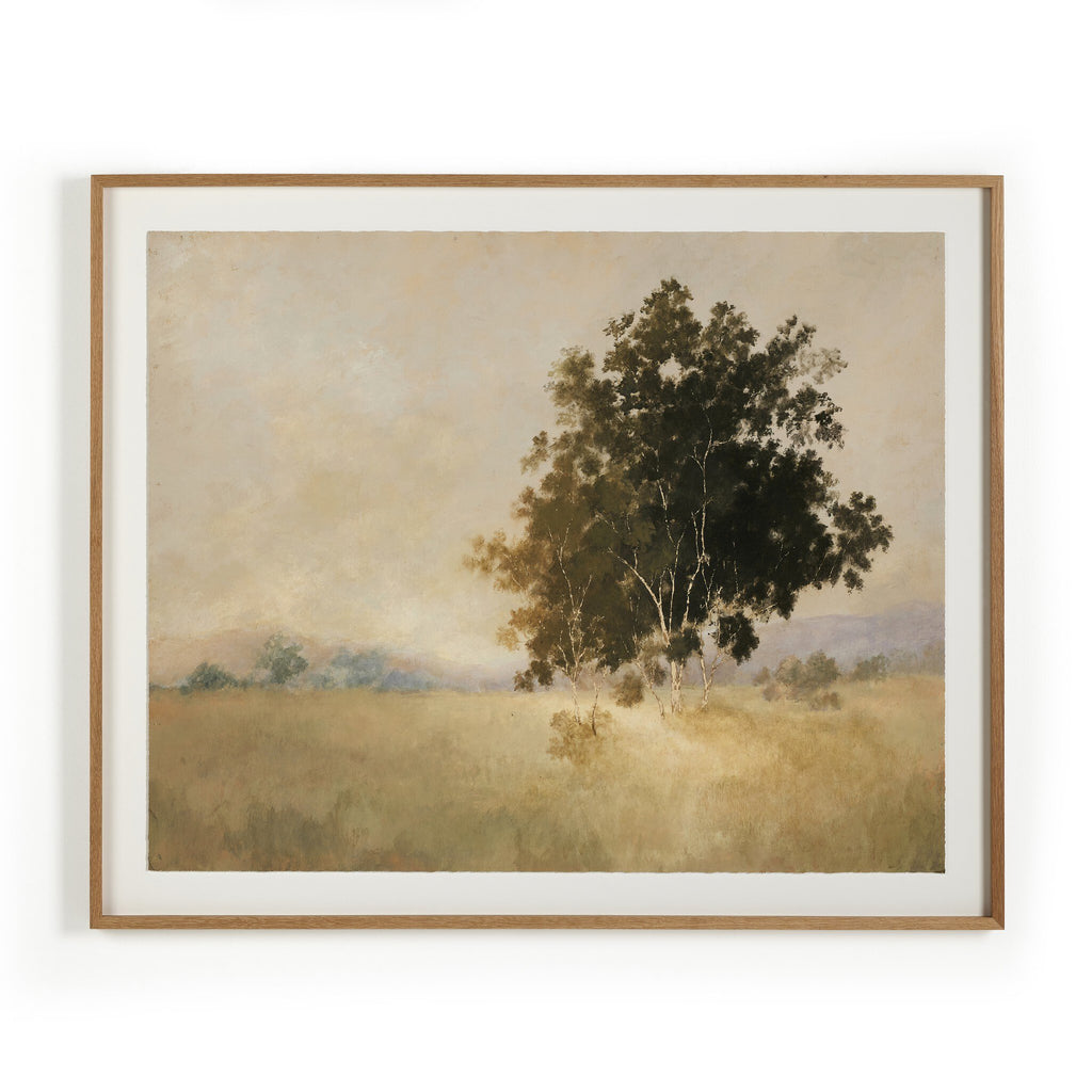 We Woke To A Dream by Aileen Fitzgerald - Light House Co.