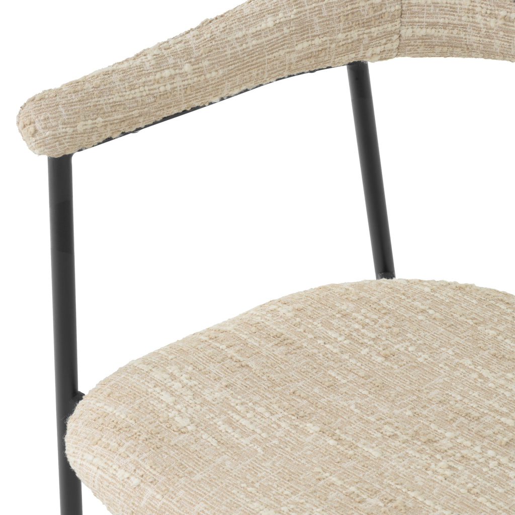 Julio Dining Chair, Set of 2 - Light House Co.