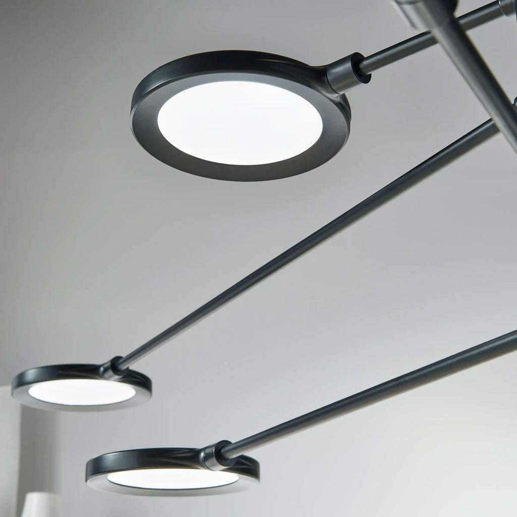 Spectica 8 Chandelier - Light House Co.