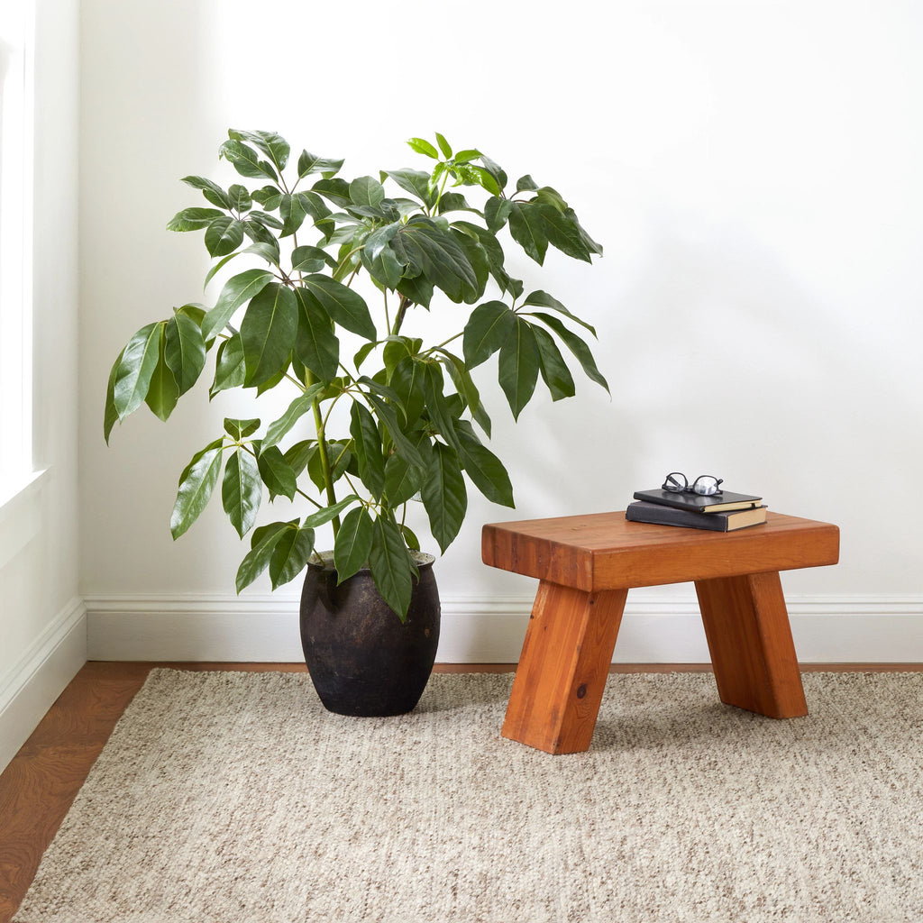 Loggia Natural Handwoven Wool Rug - Light House Co.