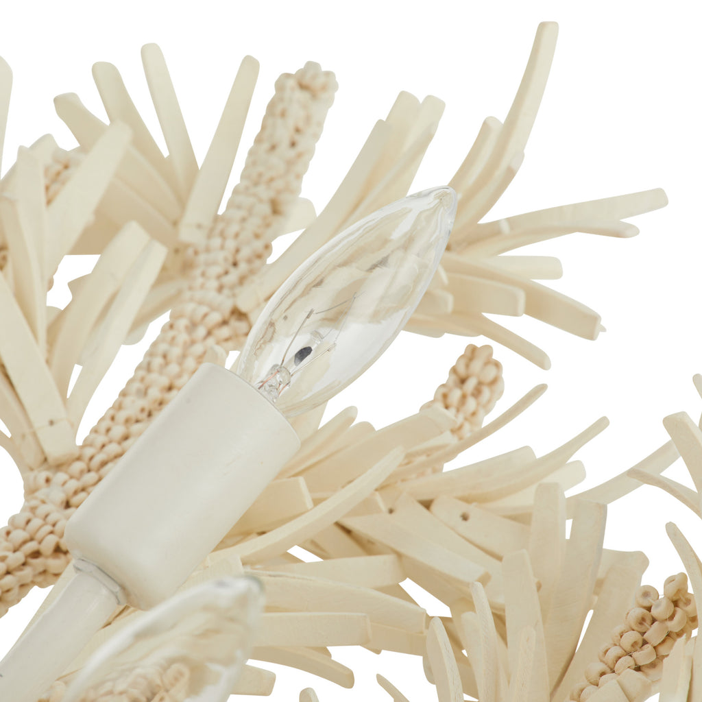 Fernanda Chandelier - Light House Co.