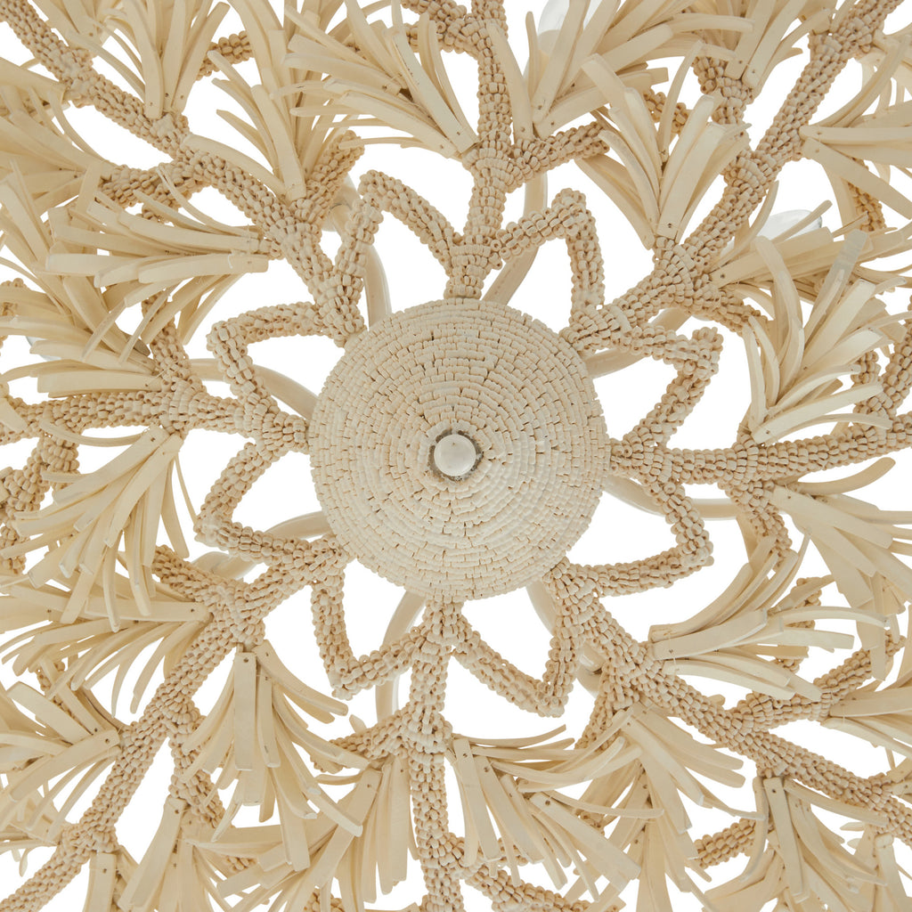 Fernanda Chandelier - Light House Co.