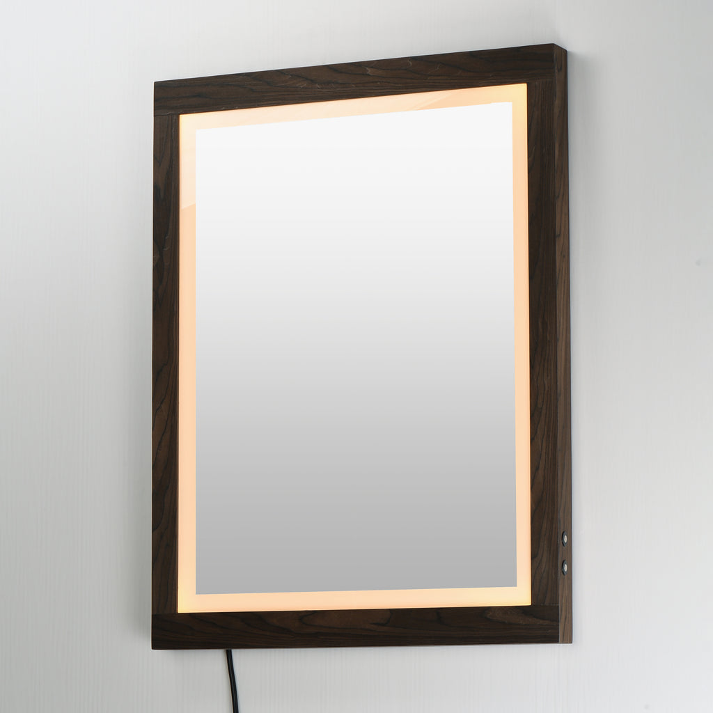 Sawyer 24"x32" Oak Framed LED Mirror - Light House Co.