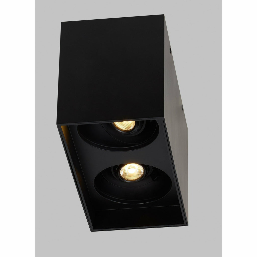 Exo 6 Dual Flush Mount - Light House Co.
