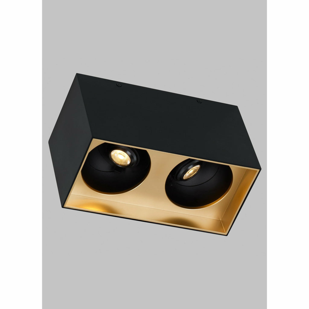 Exo 6 Dual Flush Mount - Light House Co.