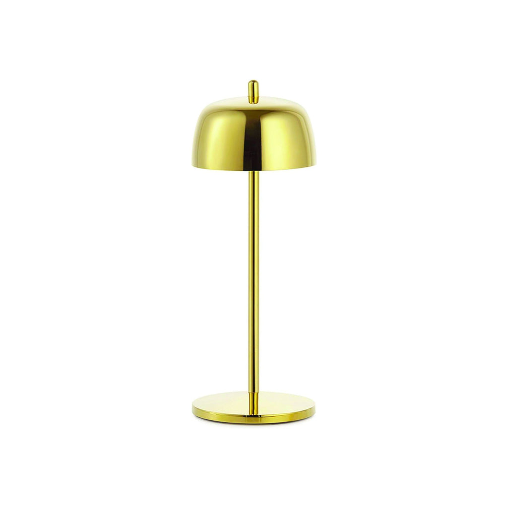 Theta Pro - Light House Co.