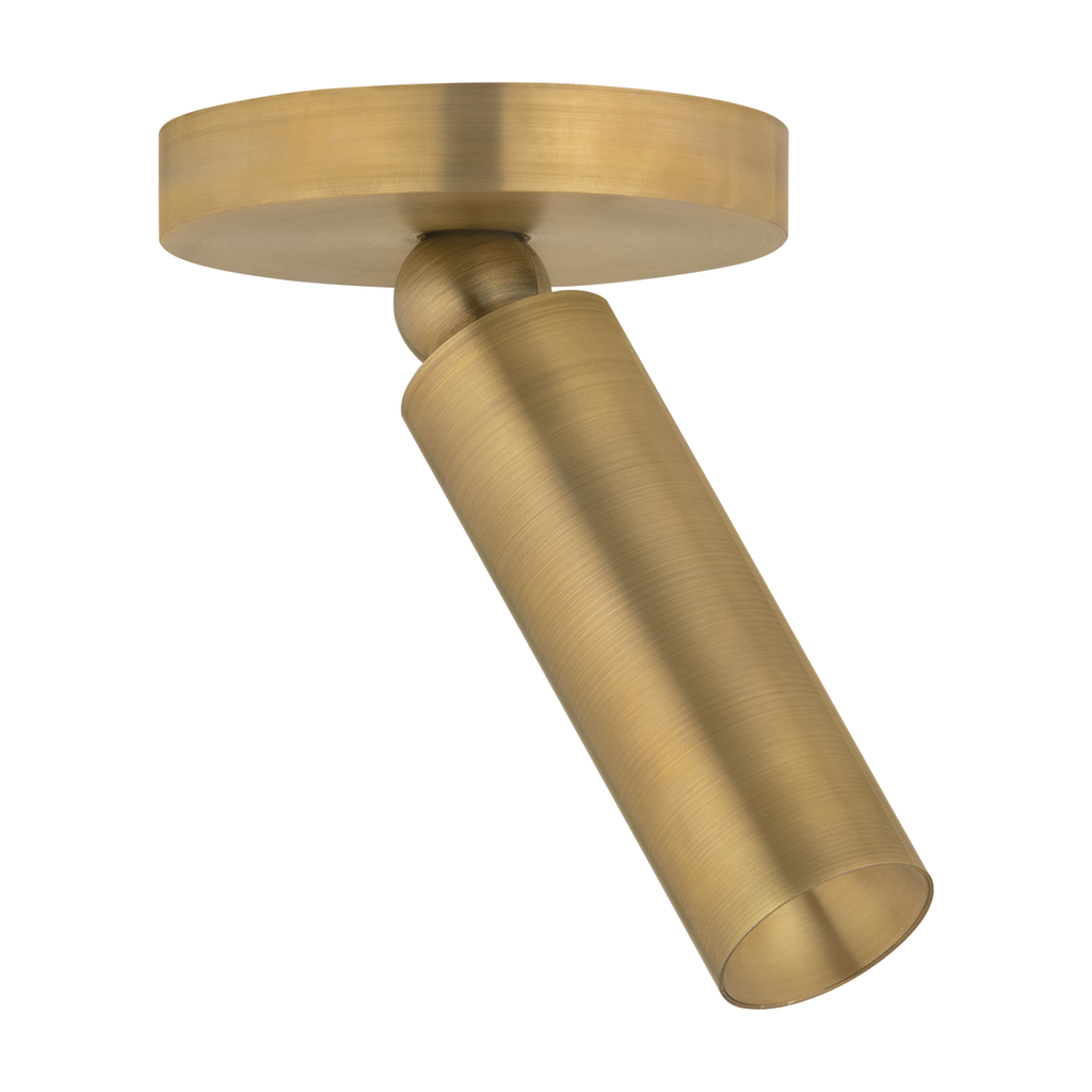 Luxe Pivot Flush Mount - Light House Co.