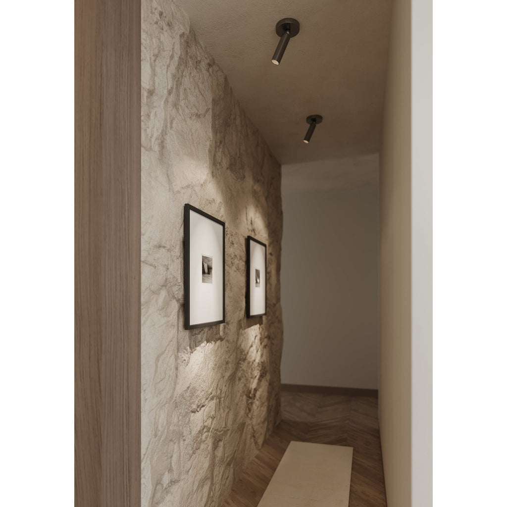 Luxe Pivot Flush Mount - Light House Co.