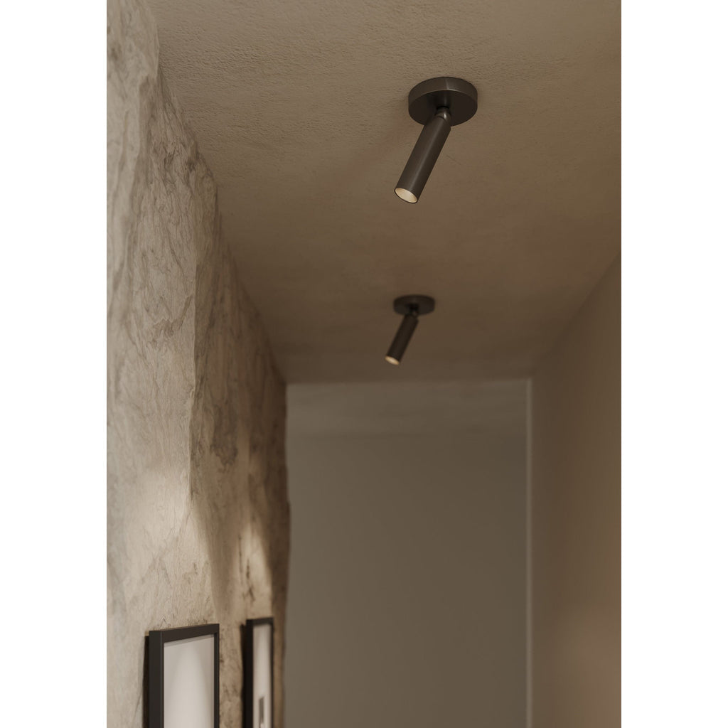 Luxe Pivot Flush Mount - Light House Co.
