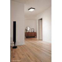 Ainslay Ceiling Mount - Light House Co.