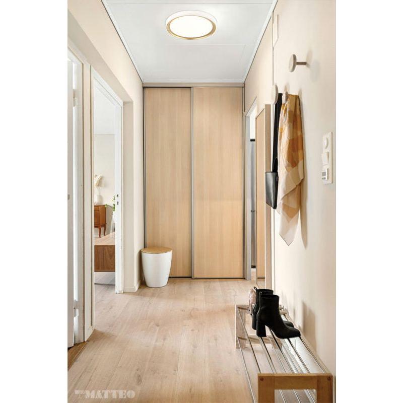 Oculus Flush Mount - Light House Co.