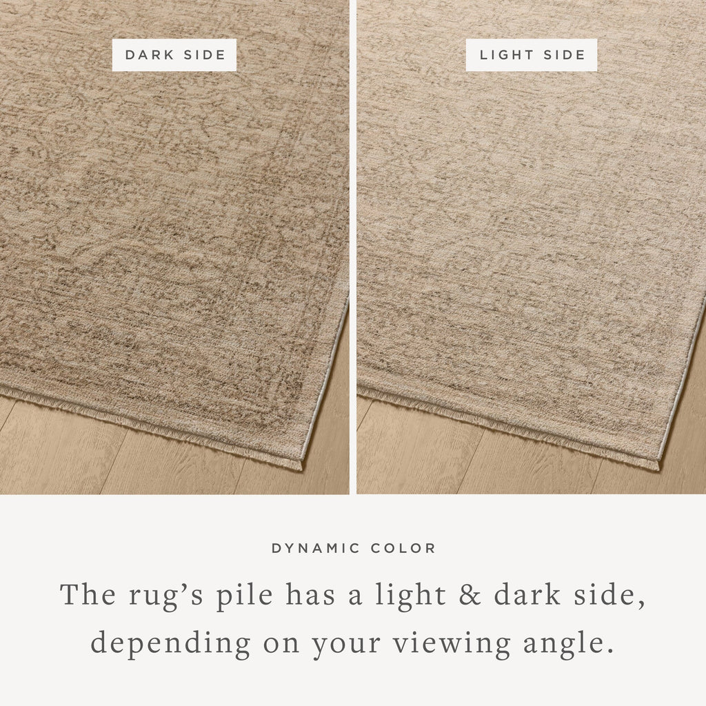 Newman Taupe / Bone Rug - Light House Co.