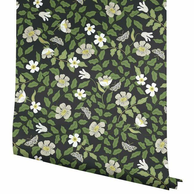 Primrose Premium Peel + Stick Wallpaper | Peel and Stick Wallpaper | York Wallcoverings - Light House Co.