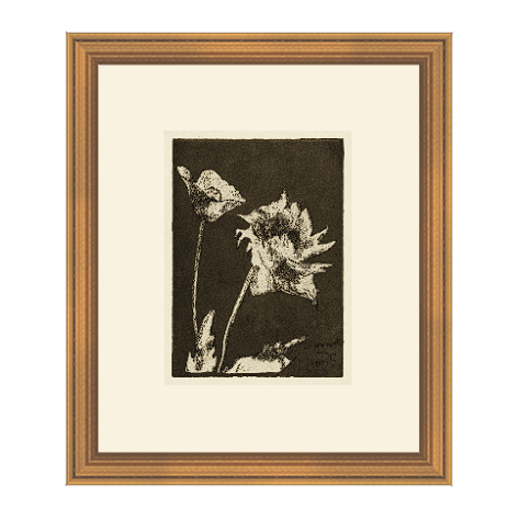 Sepia Floral Etching 5 - Light House Co.