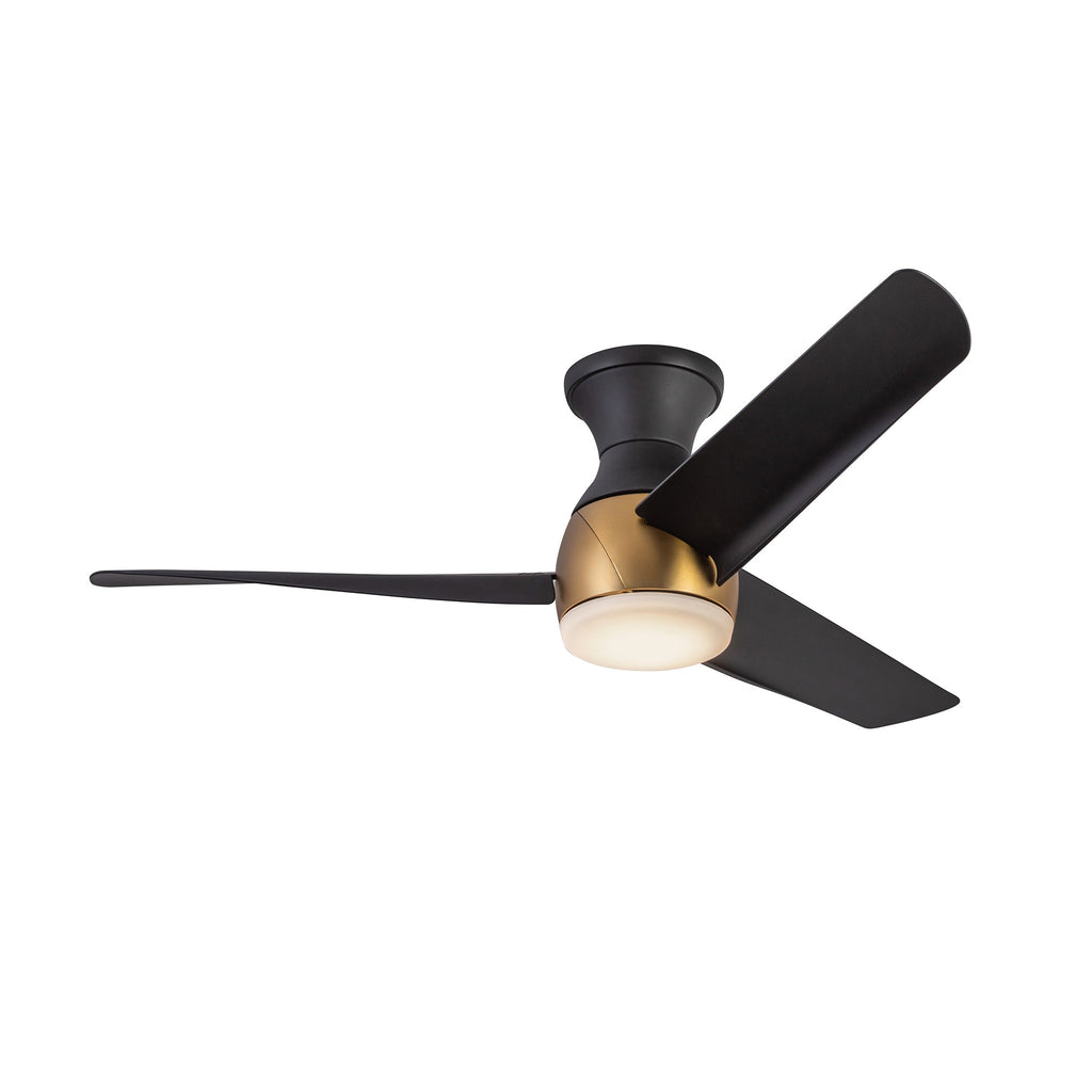 Low Profile - Thalia Fan - Light House Co.