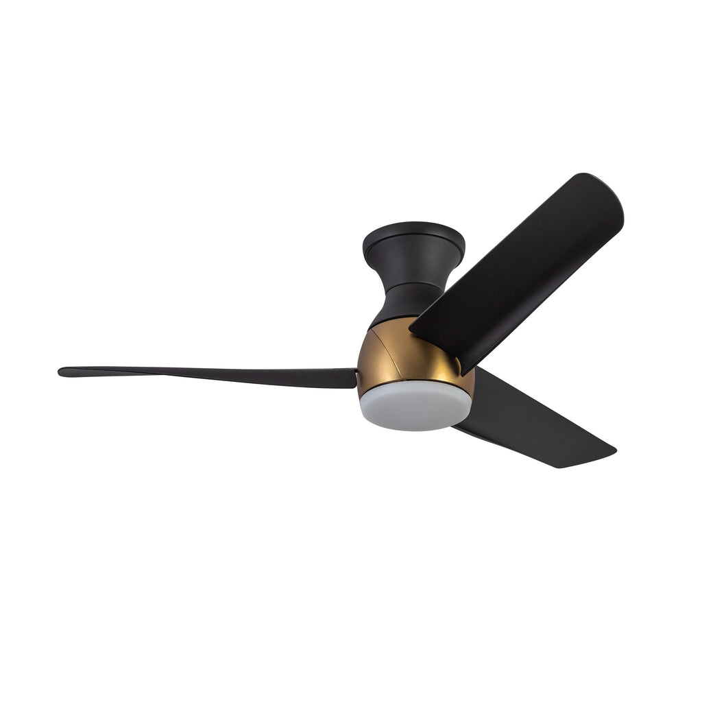 Low Profile - Thalia Fan - Light House Co.