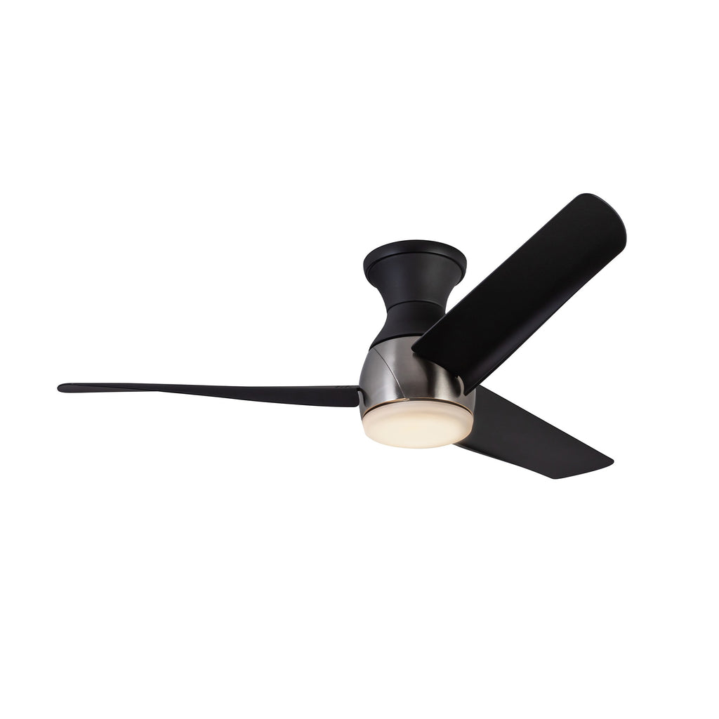 Low Profile - Thalia Fan - Light House Co.