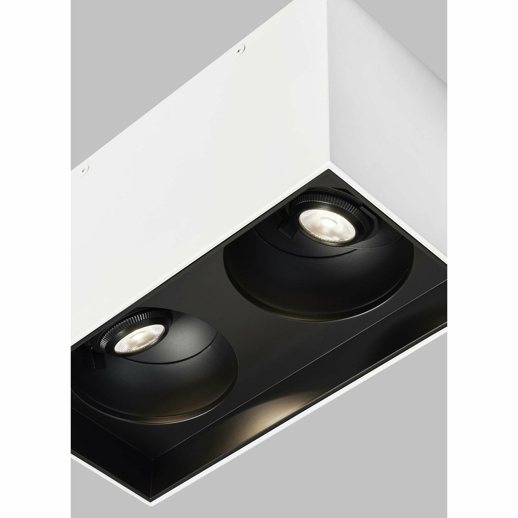 Exo 6 Dual Flush Mount - Light House Co.