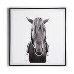 Horse - Light House Co.
