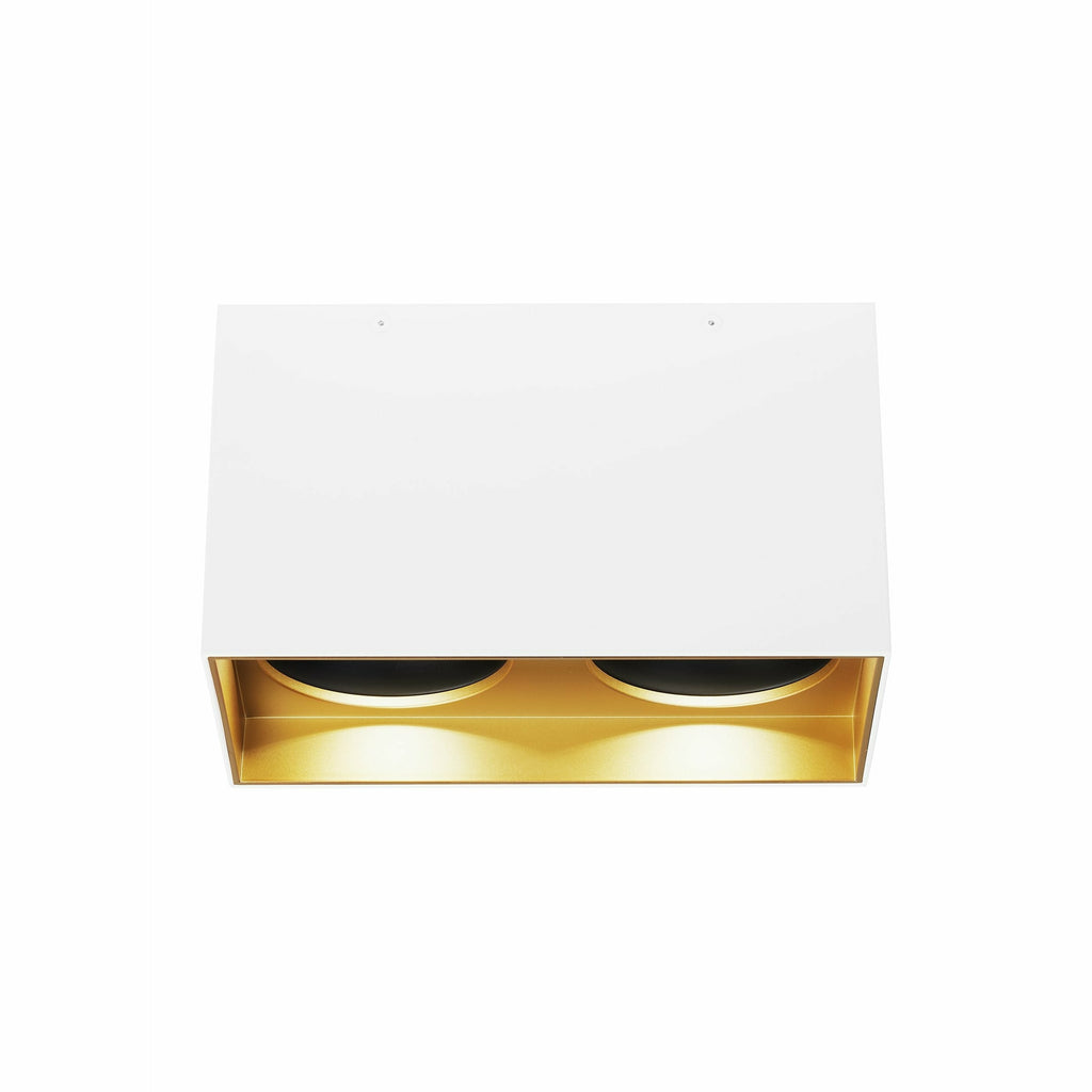 Exo 6 Dual Flush Mount - Light House Co.