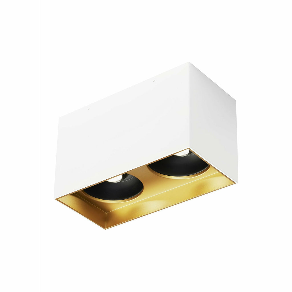 Exo 6 Dual Flush Mount - Light House Co.