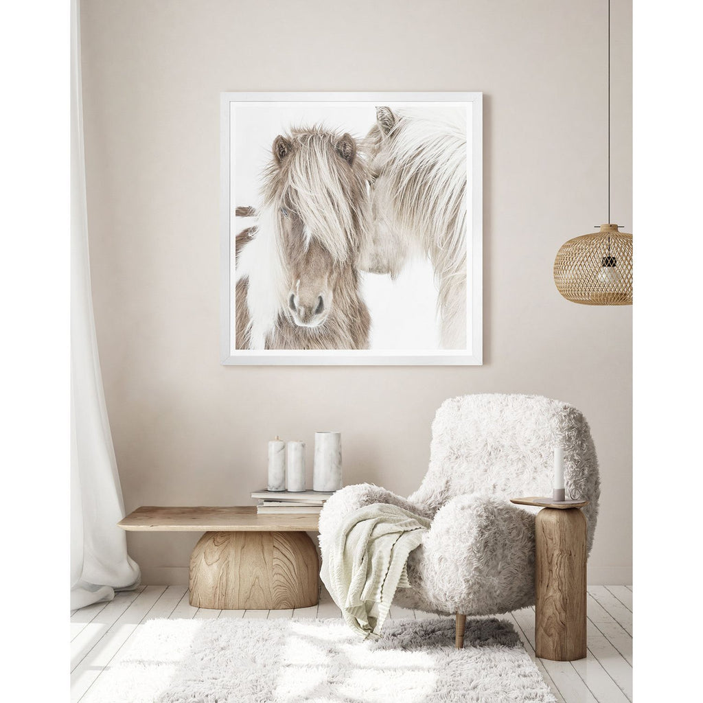 Icelandic Ponies - Light House Co.