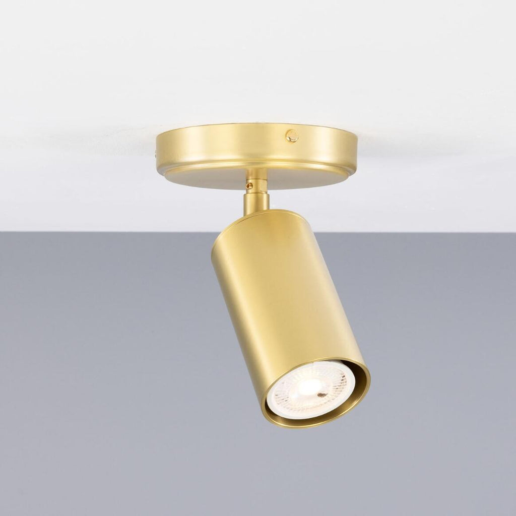 Evanston Directional Brass Ceiling Spot Light | Flush Mounts | Mullan - Light House Co.