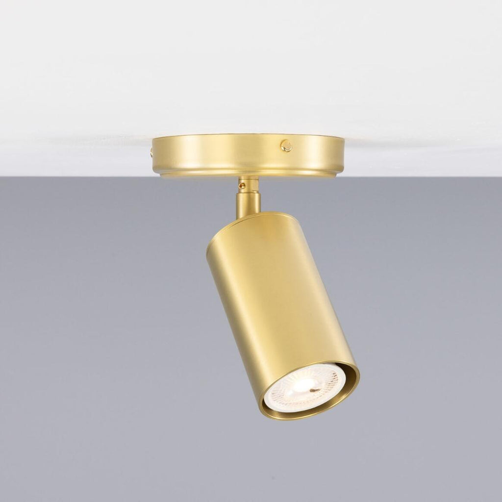 Evanston Directional Brass Ceiling Spot Light | Flush Mounts | Mullan - Light House Co.