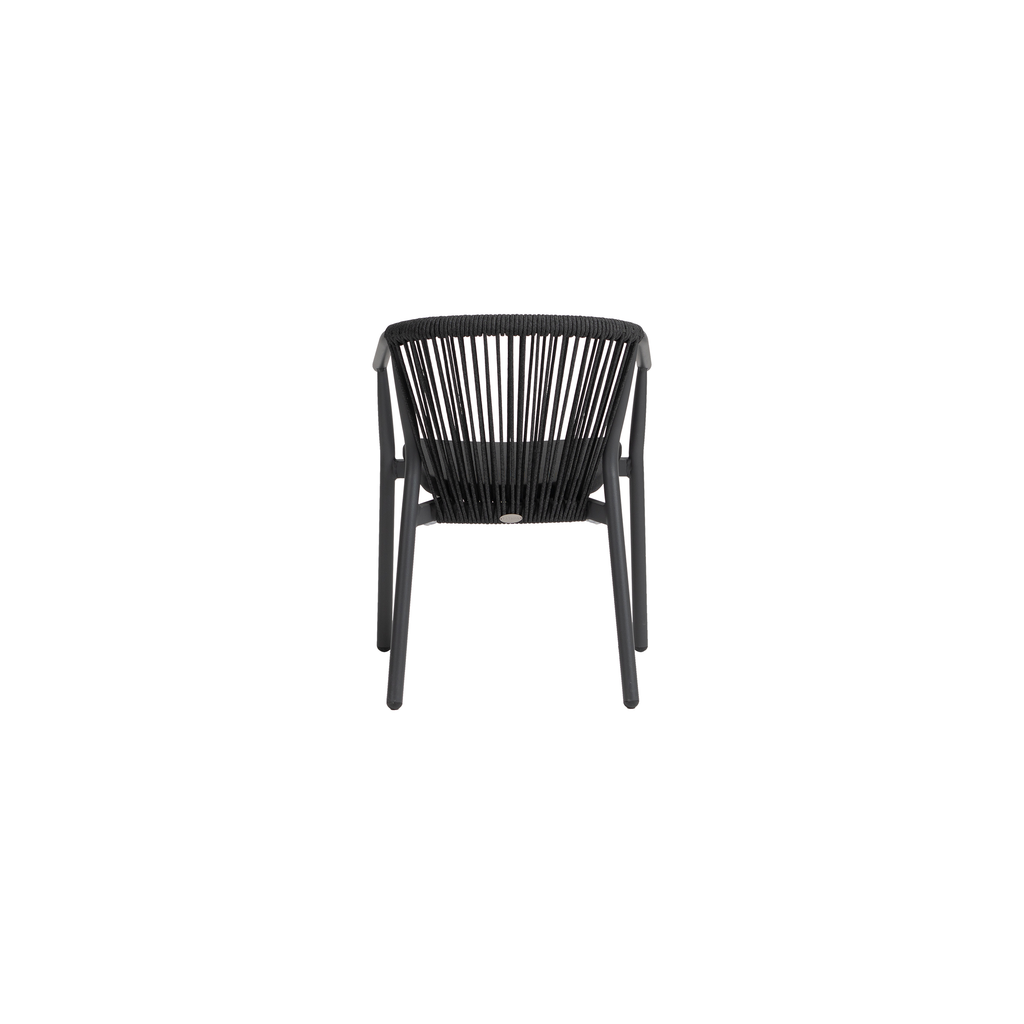 Trinity Dining Arm Chair | Seating | Ratana - Light House Co.