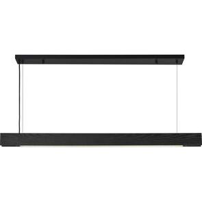 Taya 1 Light 48 inch Matte Black Linear Pendant Ceiling Light - Light House Co.