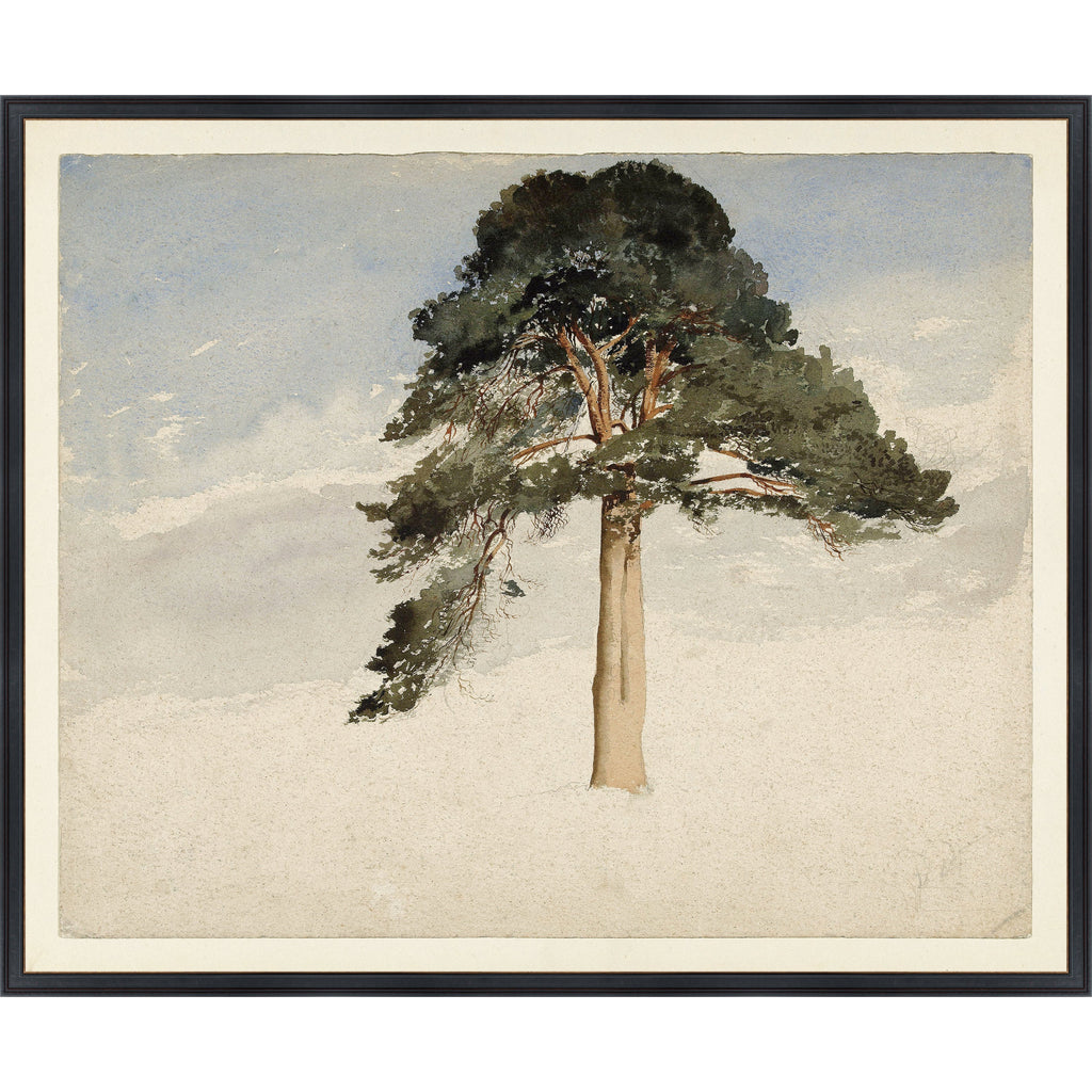 Arbol - Light House Co.