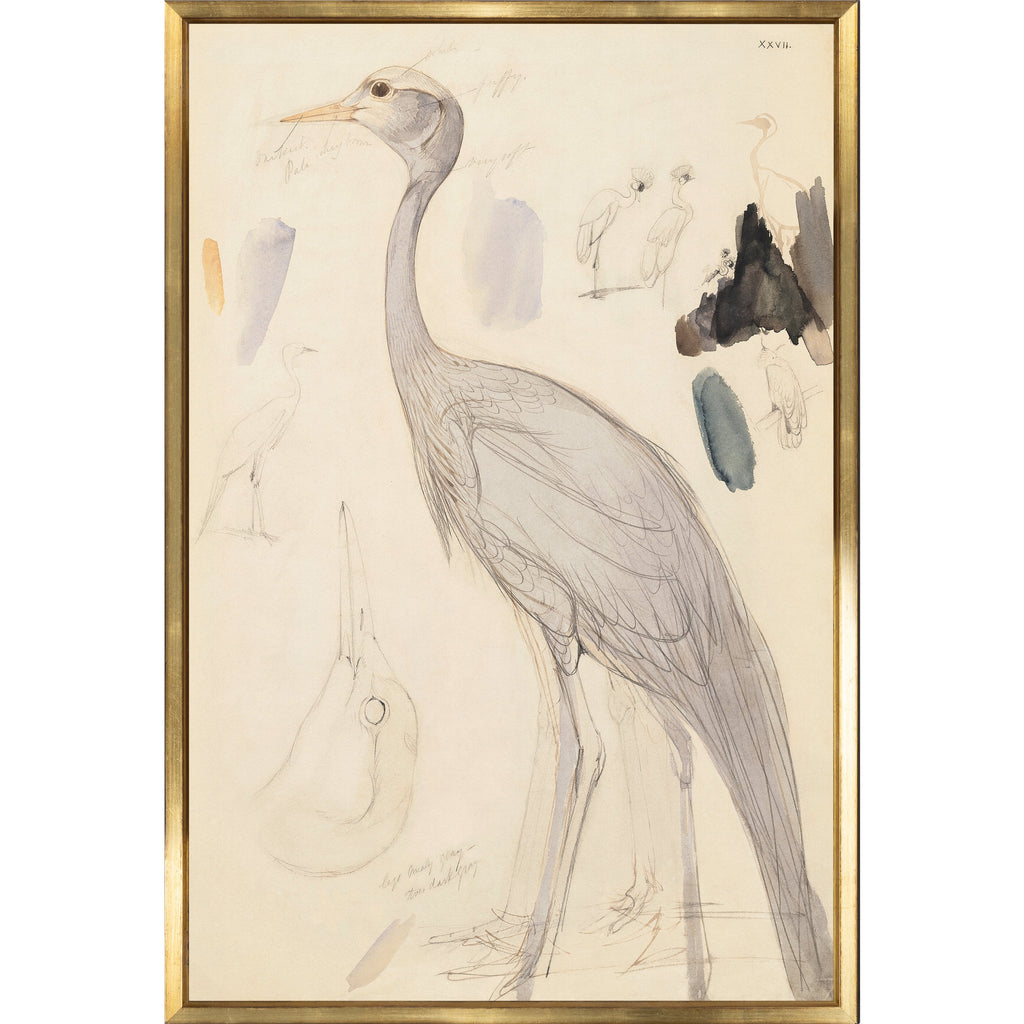 Crane Study - Light House Co.