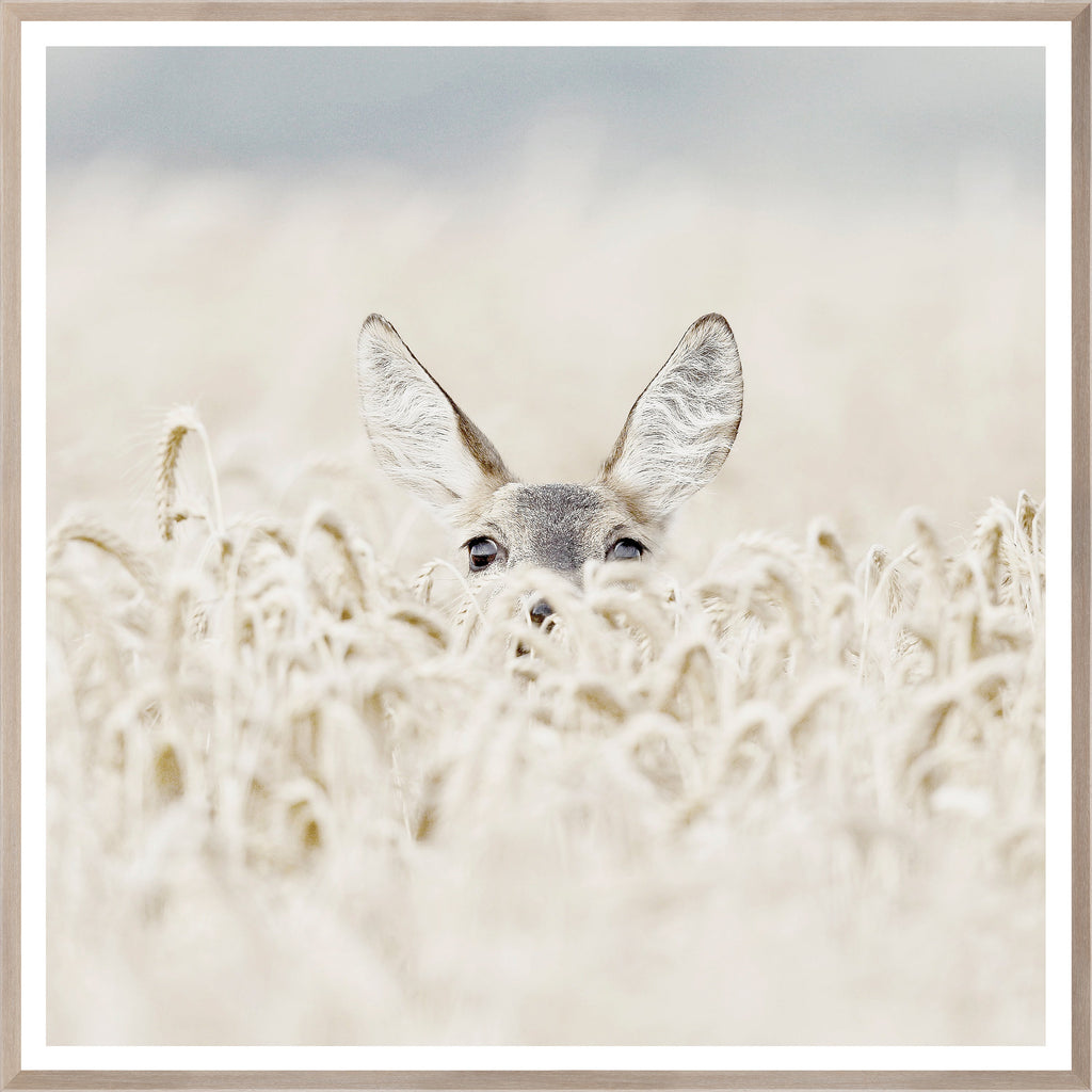 Deerly Beloved - Light House Co.