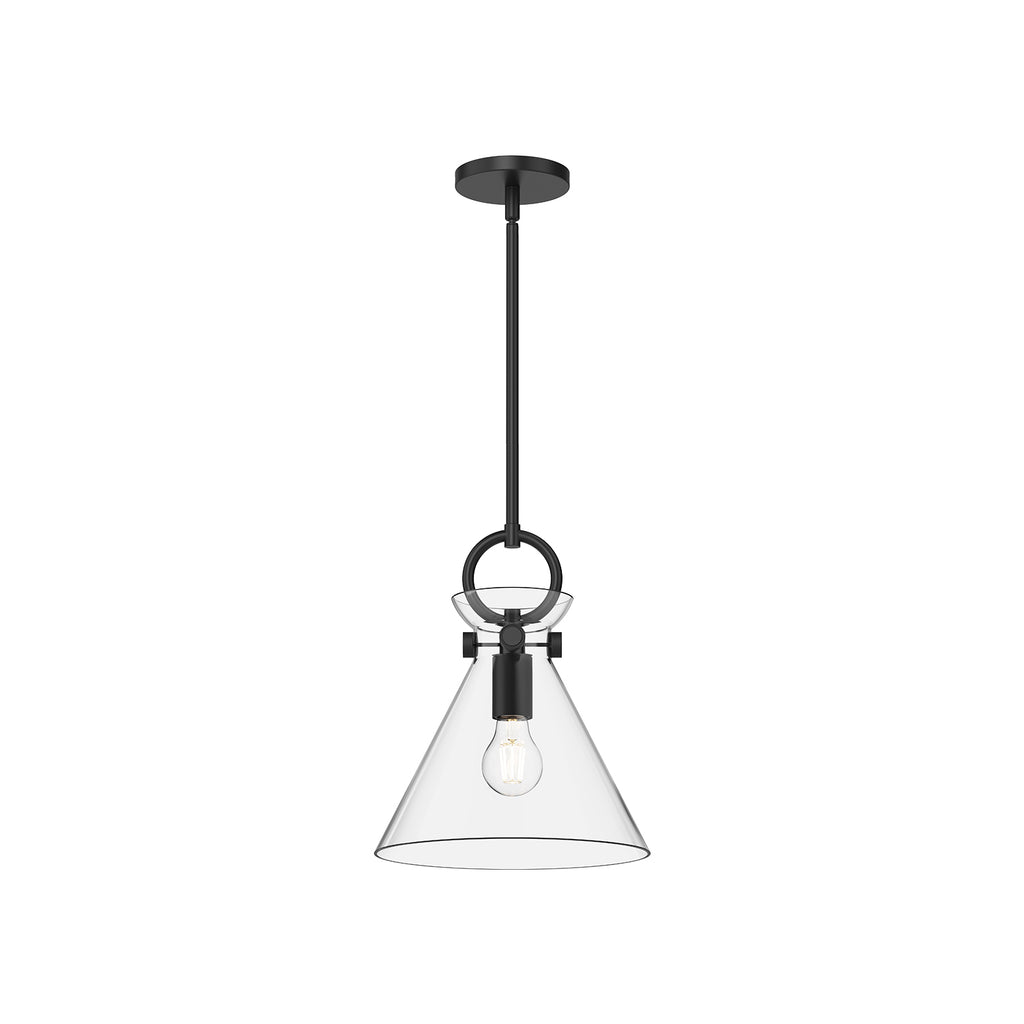 Emerson Glass Pendant - Light House Co.