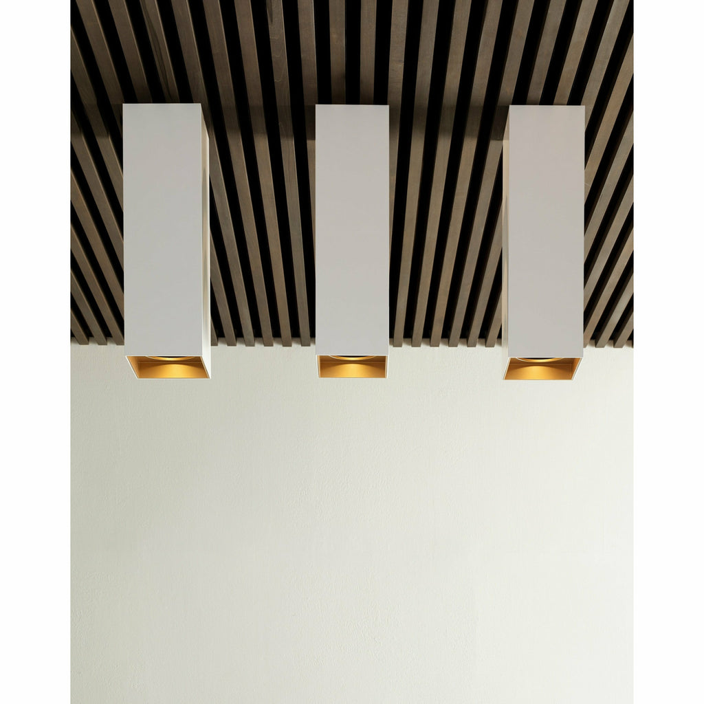 Exo 18 Flush Mount - Light House Co.
